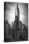 Empire State vertical-Moises Levy-Stretched Canvas