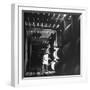 Employee in Warehouse of Jack Daniels Distillery Checking For Leaks in the Barrels-Ed Clark-Framed Photographic Print