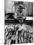 Employee of Fish Stall in the Old City Market-Robert W^ Kelley-Mounted Photographic Print
