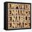 Empower, Enhance, Enable and Engage-PixelsAway-Framed Stretched Canvas
