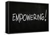 Empowering-airdone-Framed Stretched Canvas