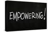 Empowering-airdone-Stretched Canvas