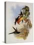 Empress Hummingbird, Eugenia Imperatrix-John Gould-Stretched Canvas