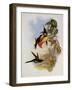 Empress Hummingbird, Eugenia Imperatrix-John Gould-Framed Giclee Print