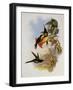 Empress Hummingbird, Eugenia Imperatrix-John Gould-Framed Giclee Print