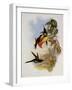 Empress Hummingbird, Eugenia Imperatrix-John Gould-Framed Giclee Print