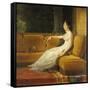 Empress Josephine, c.1801-Francois Gerard-Framed Stretched Canvas