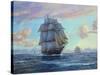 Empress Of The Seas-Roy Cross-Stretched Canvas