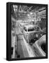 Essential Black