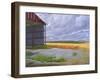 Empty Barn Near Salisbury Plain, 2008-Peter Breeden-Framed Giclee Print