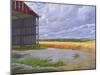 Empty Barn Near Salisbury Plain, 2008-Peter Breeden-Mounted Giclee Print