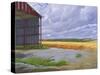 Empty Barn Near Salisbury Plain, 2008-Peter Breeden-Stretched Canvas