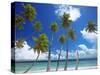 Empty Beach and Palm Trees, Maldives, Indian Ocean-Papadopoulos Sakis-Stretched Canvas