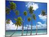 Empty Beach and Palm Trees, Maldives, Indian Ocean-Papadopoulos Sakis-Mounted Photographic Print