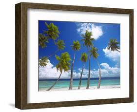 Empty Beach and Palm Trees, Maldives, Indian Ocean-Papadopoulos Sakis-Framed Photographic Print