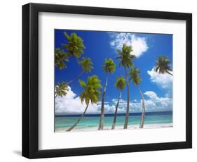 Empty Beach and Palm Trees, Maldives, Indian Ocean-Papadopoulos Sakis-Framed Photographic Print