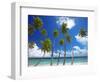 Empty Beach and Palm Trees, Maldives, Indian Ocean-Papadopoulos Sakis-Framed Photographic Print