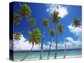 Empty Beach and Palm Trees, Maldives, Indian Ocean-Papadopoulos Sakis-Stretched Canvas