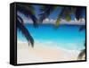 Empty Beach and Palms Trees, Seychelles, Indian Ocean, Africa-Sakis Papadopoulos-Framed Stretched Canvas