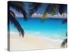 Empty Beach and Palms Trees, Seychelles, Indian Ocean, Africa-Sakis Papadopoulos-Stretched Canvas