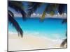 Empty Beach and Palms Trees, Seychelles, Indian Ocean, Africa-Sakis Papadopoulos-Mounted Photographic Print