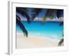 Empty Beach and Palms Trees, Seychelles, Indian Ocean, Africa-Sakis Papadopoulos-Framed Photographic Print