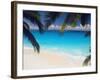 Empty Beach and Palms Trees, Seychelles, Indian Ocean, Africa-Sakis Papadopoulos-Framed Photographic Print