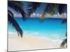 Empty Beach and Palms Trees, Seychelles, Indian Ocean, Africa-Sakis Papadopoulos-Mounted Photographic Print