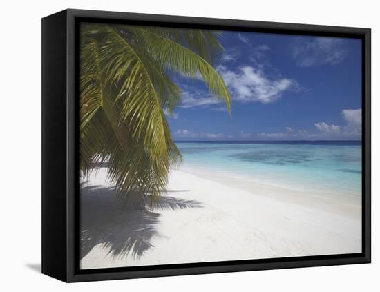 Empty Beach on Tropical Island, Maldives, Indian Ocean, Asia-Sakis Papadopoulos-Framed Stretched Canvas