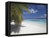 Empty Beach on Tropical Island, Maldives, Indian Ocean, Asia-Sakis Papadopoulos-Framed Stretched Canvas