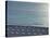 Empty Beach, South Beach, Miami Beach, Florida, United States of America, North America-Angelo Cavalli-Stretched Canvas