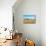 Empty bench amid wildflowers on the shingle beach at Pevensey Bay, East Sussex-Barry Davis-Mounted Photographic Print displayed on a wall