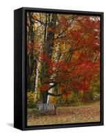 Empty Bench under Maple Tree, Twin Ponds Farm, West River Valley, Vermont, USA-Scott T^ Smith-Framed Stretched Canvas