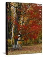 Empty Bench under Maple Tree, Twin Ponds Farm, West River Valley, Vermont, USA-Scott T^ Smith-Stretched Canvas