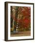 Empty Bench under Maple Tree, Twin Ponds Farm, West River Valley, Vermont, USA-Scott T^ Smith-Framed Photographic Print