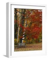 Empty Bench under Maple Tree, Twin Ponds Farm, West River Valley, Vermont, USA-Scott T^ Smith-Framed Photographic Print