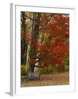 Empty Bench under Maple Tree, Twin Ponds Farm, West River Valley, Vermont, USA-Scott T^ Smith-Framed Photographic Print