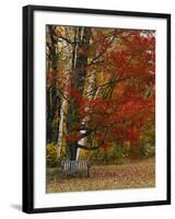 Empty Bench under Maple Tree, Twin Ponds Farm, West River Valley, Vermont, USA-Scott T^ Smith-Framed Photographic Print