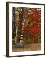 Empty Bench under Maple Tree, Twin Ponds Farm, West River Valley, Vermont, USA-Scott T^ Smith-Framed Photographic Print