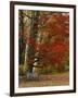 Empty Bench under Maple Tree, Twin Ponds Farm, West River Valley, Vermont, USA-Scott T^ Smith-Framed Photographic Print