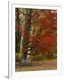 Empty Bench under Maple Tree, Twin Ponds Farm, West River Valley, Vermont, USA-Scott T^ Smith-Framed Photographic Print