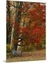 Empty Bench under Maple Tree, Twin Ponds Farm, West River Valley, Vermont, USA-Scott T^ Smith-Mounted Photographic Print