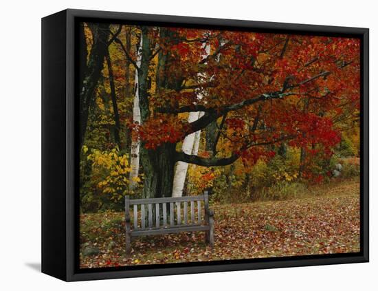 Empty Bench under Maple Tree, Twin Ponds Farm, West River Valley, Vermont, USA-Scott T^ Smith-Framed Stretched Canvas