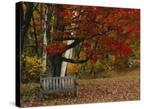 Empty Bench under Maple Tree, Twin Ponds Farm, West River Valley, Vermont, USA-Scott T^ Smith-Stretched Canvas