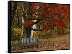 Empty Bench under Maple Tree, Twin Ponds Farm, West River Valley, Vermont, USA-Scott T^ Smith-Framed Stretched Canvas