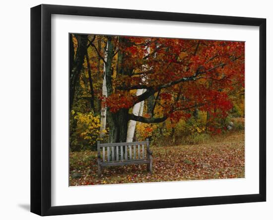 Empty Bench under Maple Tree, Twin Ponds Farm, West River Valley, Vermont, USA-Scott T^ Smith-Framed Photographic Print