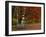 Empty Bench under Maple Tree, Twin Ponds Farm, West River Valley, Vermont, USA-Scott T^ Smith-Framed Photographic Print