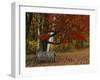 Empty Bench under Maple Tree, Twin Ponds Farm, West River Valley, Vermont, USA-Scott T^ Smith-Framed Photographic Print