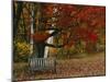 Empty Bench under Maple Tree, Twin Ponds Farm, West River Valley, Vermont, USA-Scott T^ Smith-Mounted Photographic Print