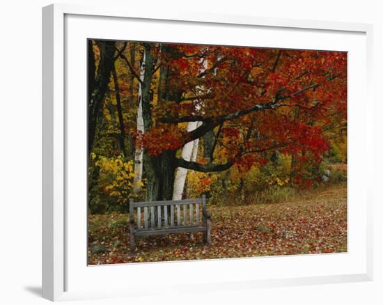 Empty Bench under Maple Tree, Twin Ponds Farm, West River Valley, Vermont, USA-Scott T^ Smith-Framed Photographic Print